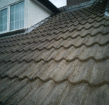 roof clean 2